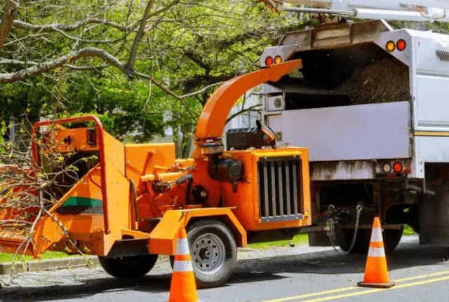 tree removal Tipton ca