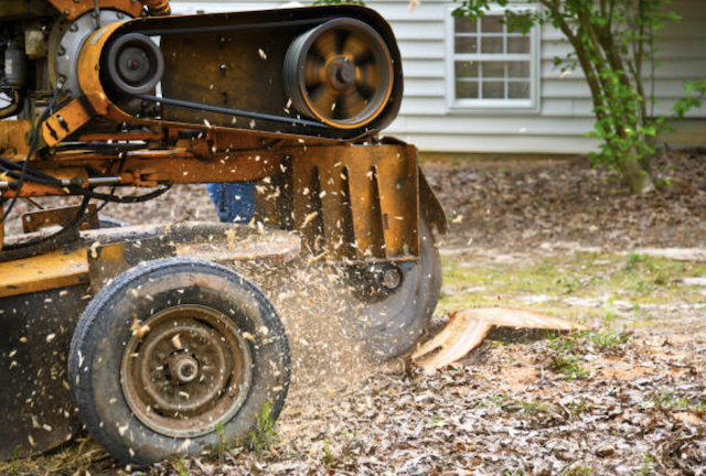 stump grinding Tipton ca